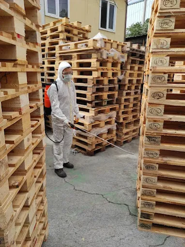 Ahşap palet sahasında zararlı kontrol uygulaması